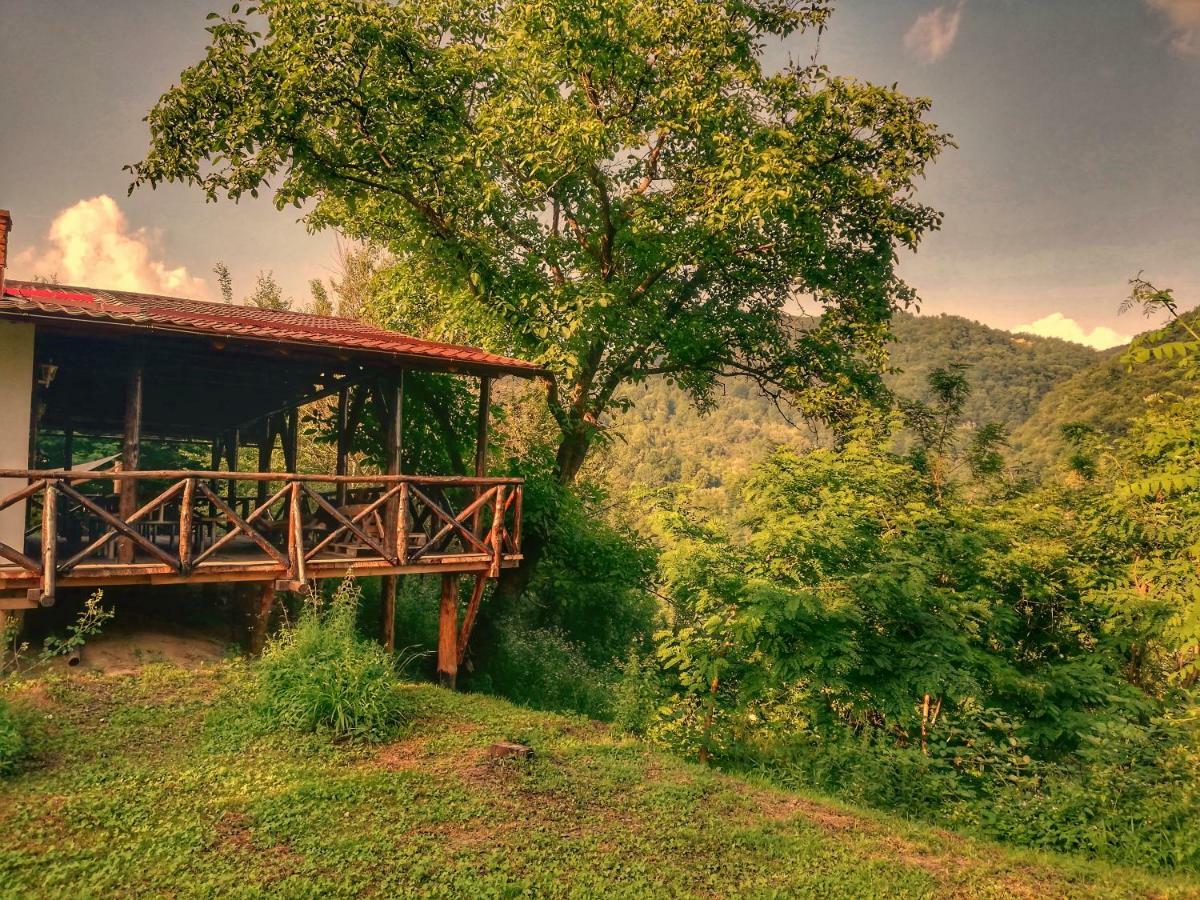 Cabana Rasarit De Soare Hotel Galesu Exterior foto