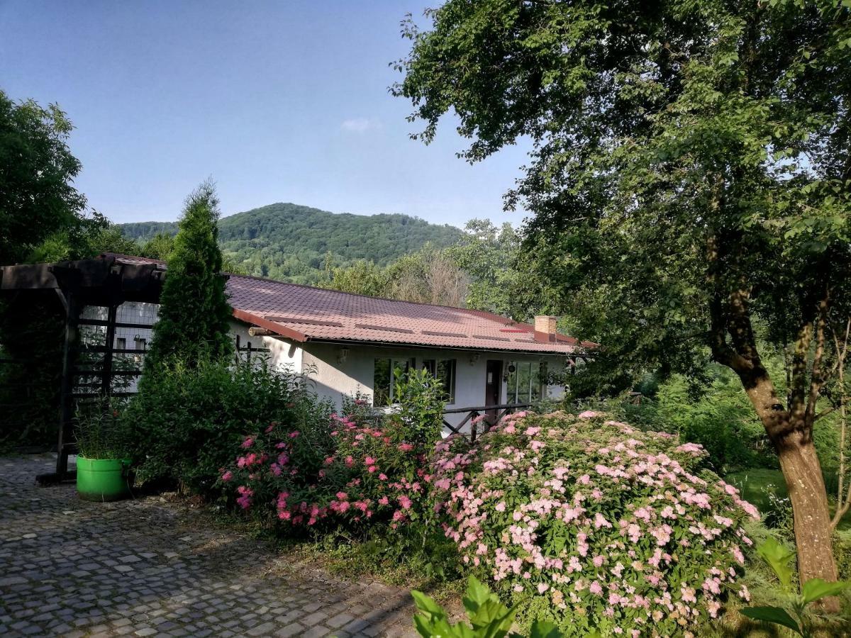 Cabana Rasarit De Soare Hotel Galesu Exterior foto